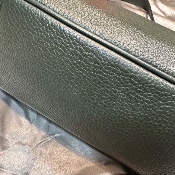 SOLD🌹Coach Teri Hobo • LIMITED EDITION Pebbled Leather WINTER GREEN Shoulder Bag - Picture 5 of 15